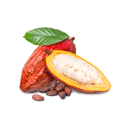 Cacao