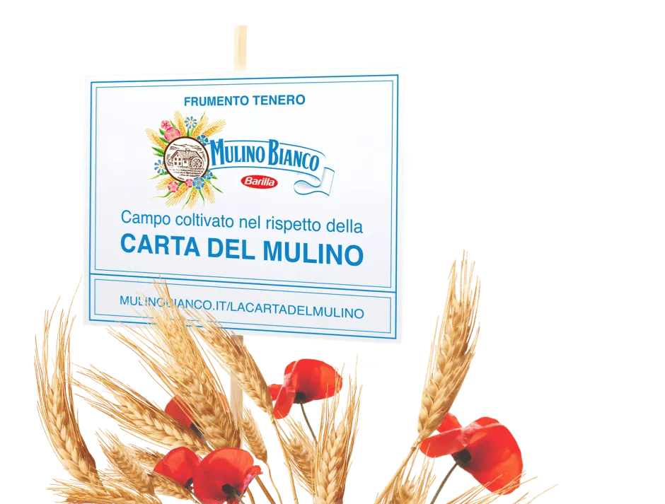 Carta del mulino