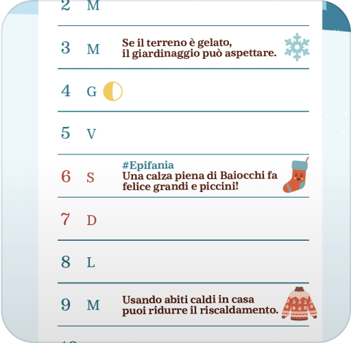 Chicce e curiosità