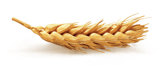 Natura