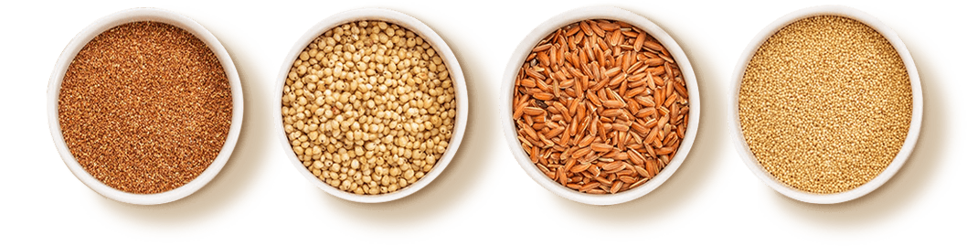 Frumento, avena, orzo, farro, segale e kamut