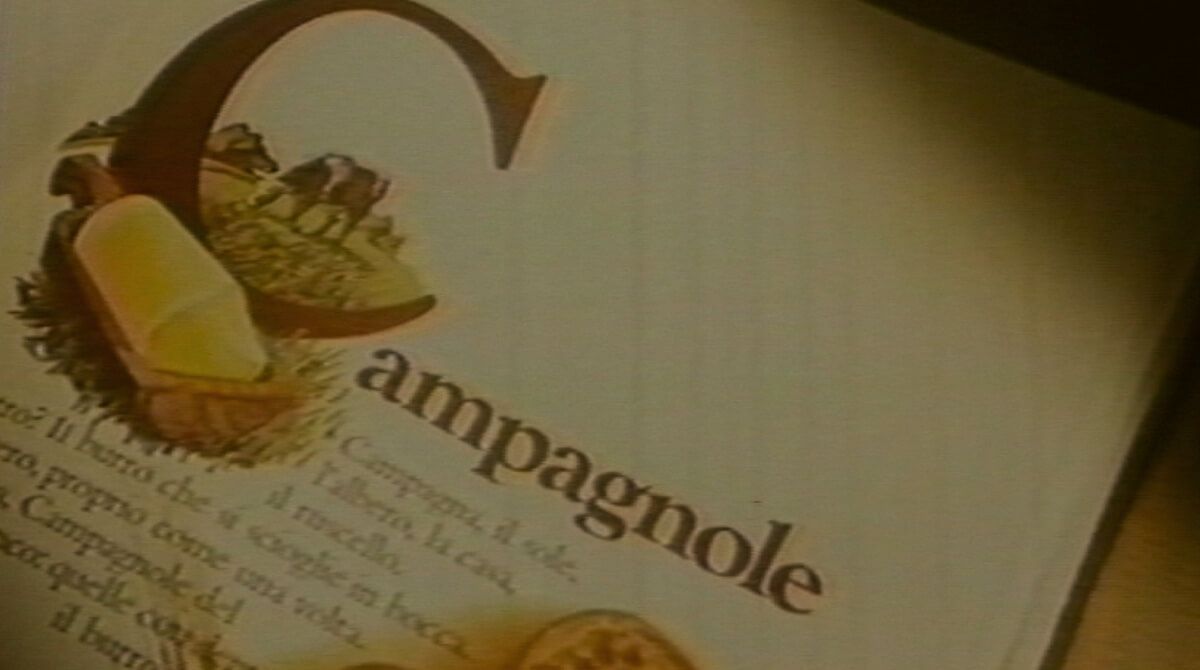 CAMPAGNOLE